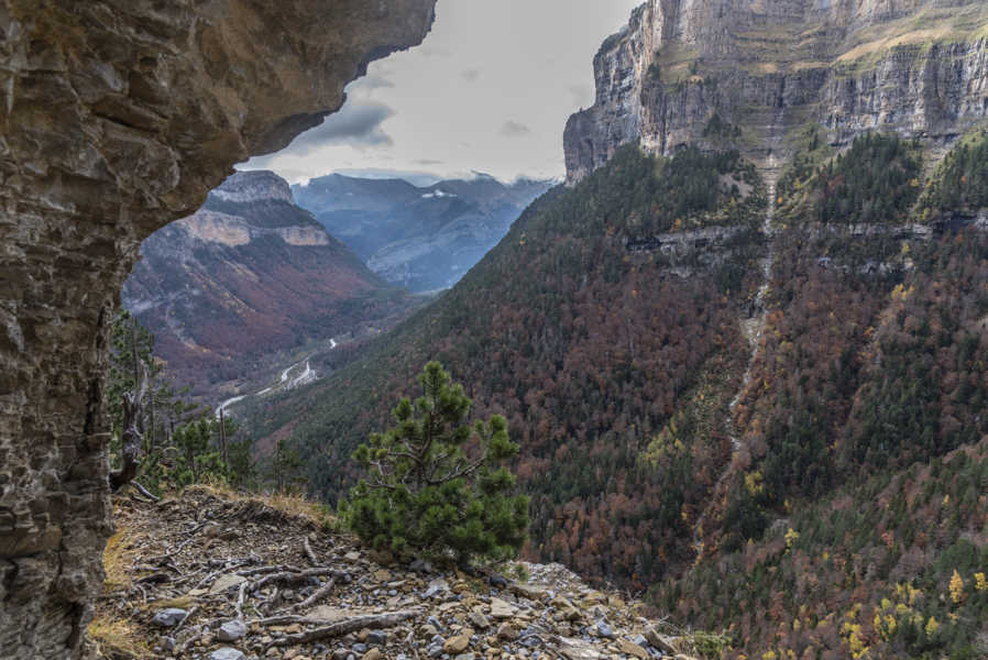 Huesca - parque nacional de Ordesa y Monte Perdido - valle de Ordesa 114 - faja Canarellos.jpg